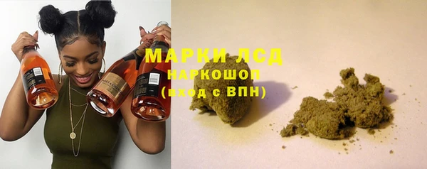 эйфоретик Инта