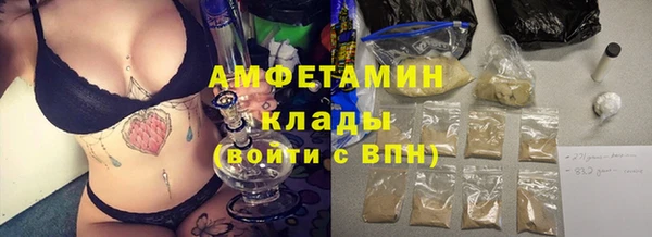 2c-b Инсар